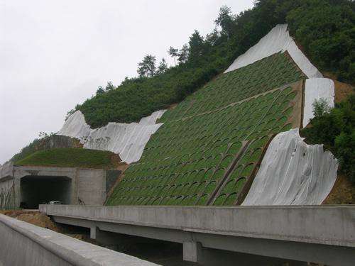 检查井半岛(中国)和护坡半岛(中国)生产厂家